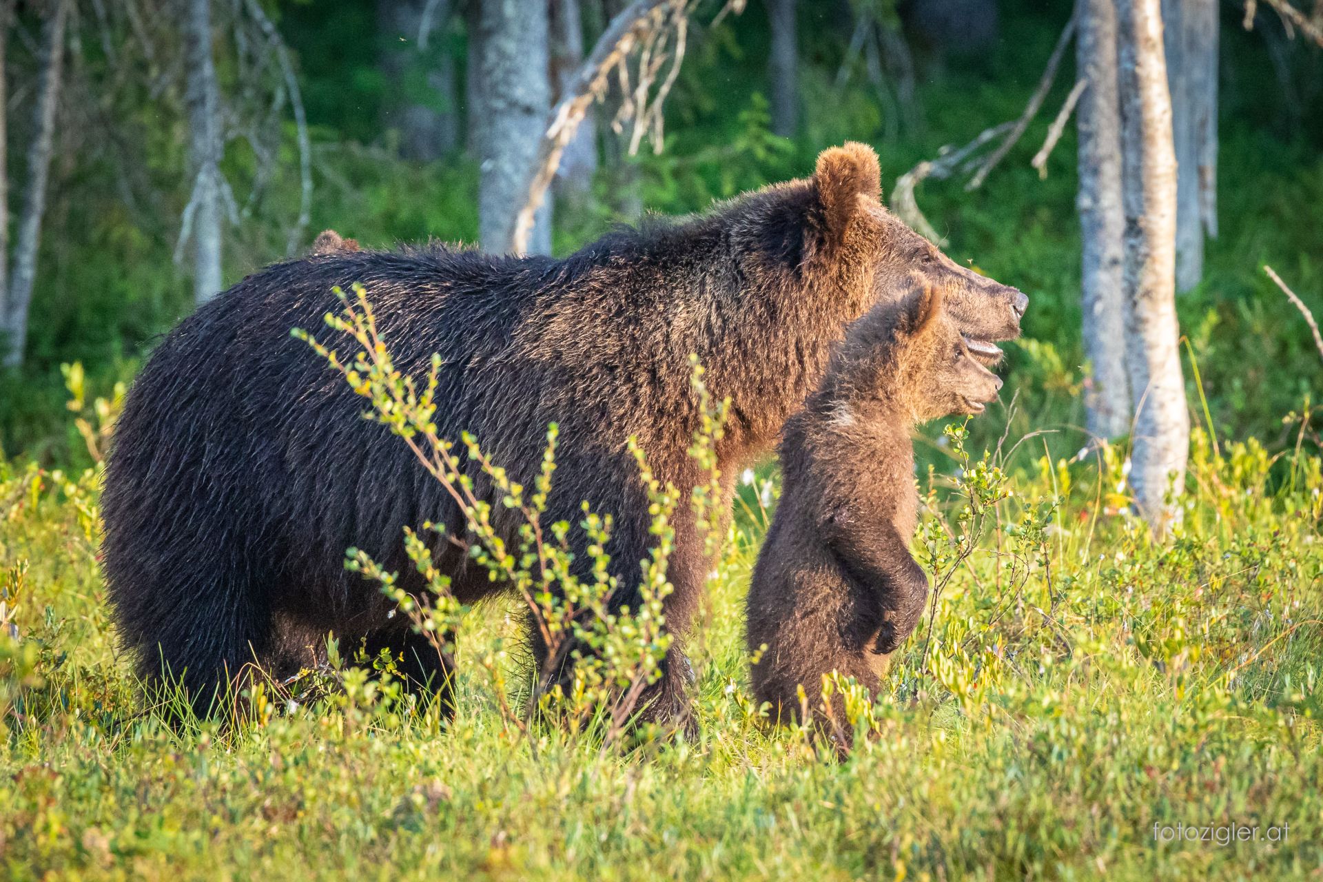 Martin_Zigler_20250728_MZig_88054_EOS R6