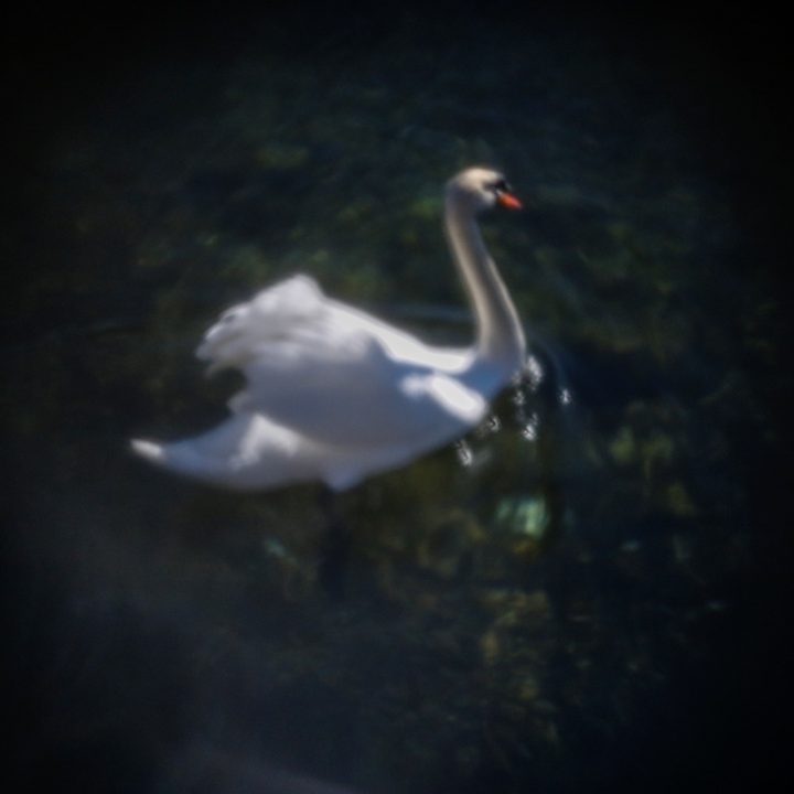 Pinhole-Photo