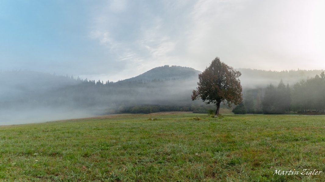 20180830MZig52815-Pano-2