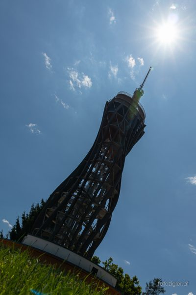 20190710MZig_IMG_6423-2