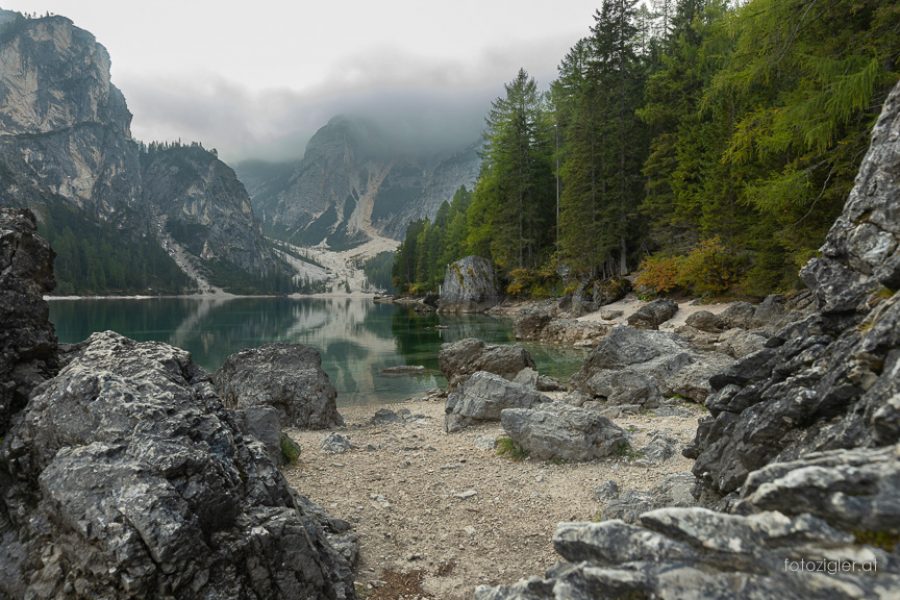 20190928MZig__MZ_7785-Bearbeitet-2